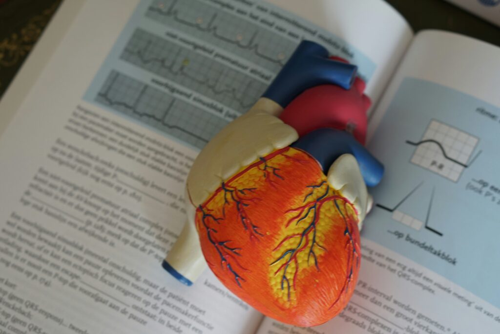 maladies cardiovasculaires