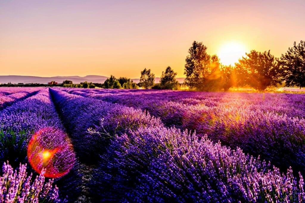 Mutuelle santé Provence Alpes Côte d'Azur