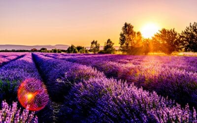 Mutuelle santé Provence-Alpes-Côte d’Azur : une couverture sur mesure avec Izimut